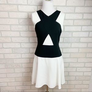 BCBG Maxazria Black & White dress